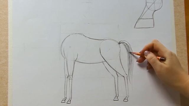 Как нарисовать лошадь Рисуем лошадь за 30 секунд. смотреть онлайн