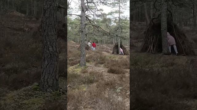 Прогулка по Норвежскому лесу. Город Роде. смотреть онлайн