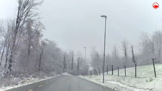 Winter Has Arrived In Switzerland 4k | Zurich Christmas Market