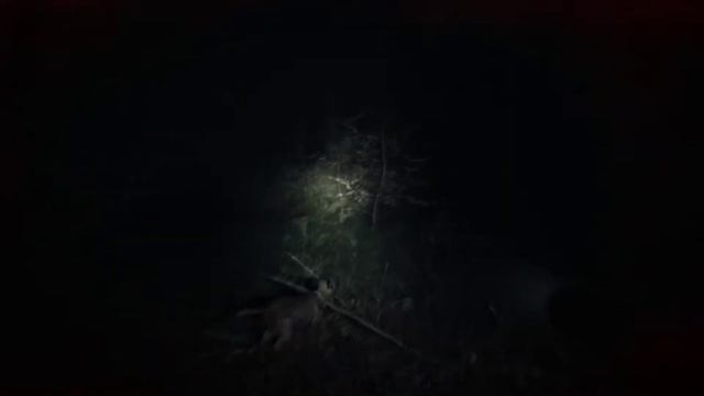 Игра Blair Witch #3 Прохождение. Буллет опять что-то нашел. Бейсбольный мяч. Кассета. Страх в лесу. смотреть онлайн