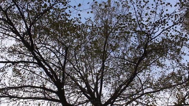 Село Доронино. Октябрь 2017 смотреть онлайн