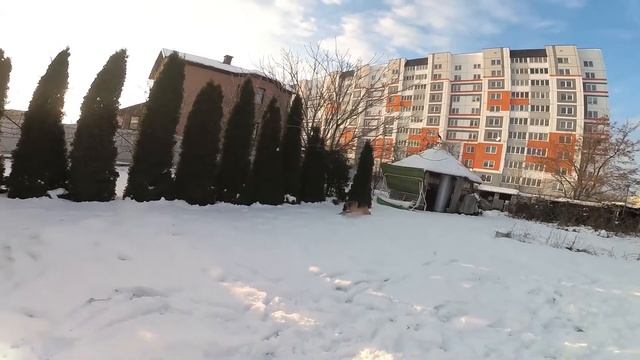 ""Американская овчарка – ВЕНДИ. смотреть онлайн