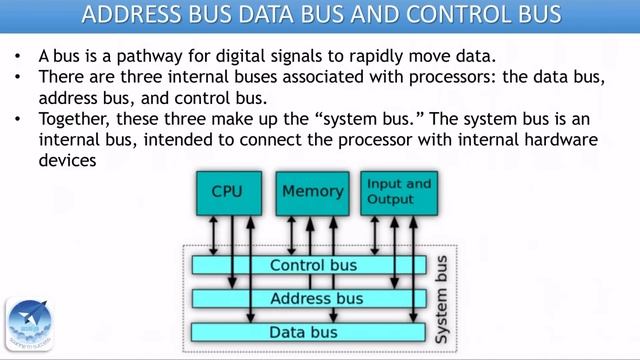 Processor Architecture : Data Bus Address Bus and Control Bus | ECT206 | CAM | KTU смотреть онлайн