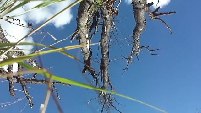 Kvadrociklist podvodnik stels.600gt.mp4 смотреть онлайн