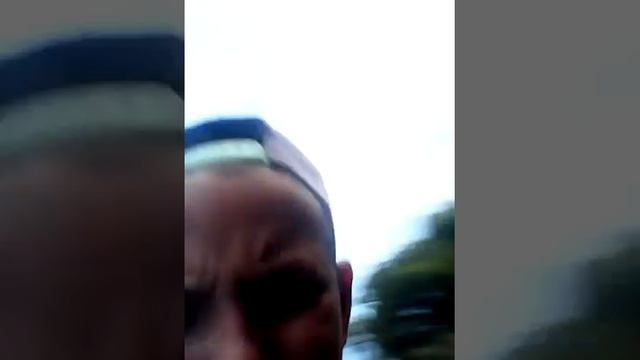 Собака+жук смотреть онлайн