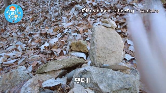 오랜만에 쉬는 날 브이로그!/고란사/낙화암/부소산성!(Country Story of City Couple EP.565) смотреть онлайн