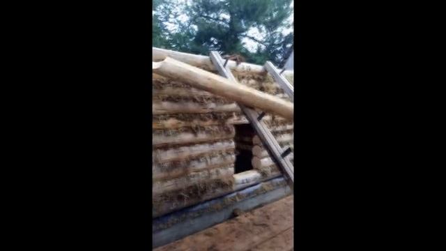 Как легко поднять бревно на сруб одному