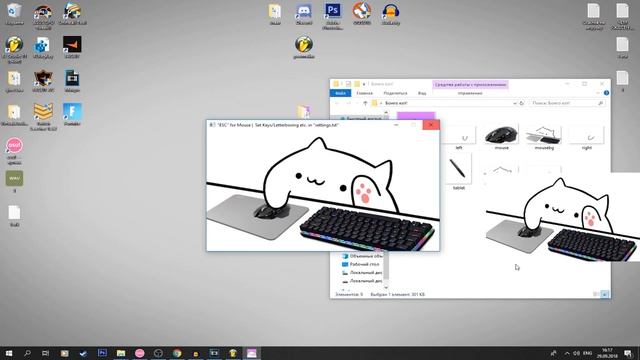 БОНГО КОТ ДЛЯ OSU! | BONGO CAT OSU! | КАК НАСТРОИТЬ ДЛЯ ОБС! смотреть онлайн