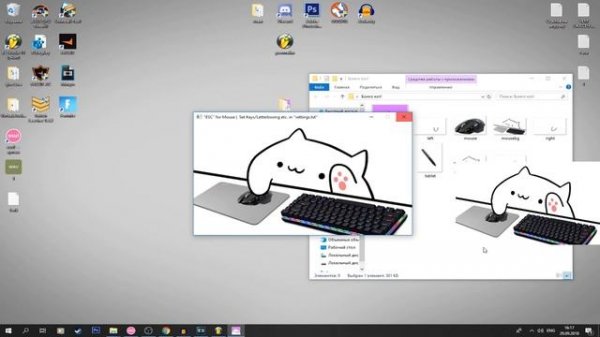 БОНГО КОТ ДЛЯ OSU! | BONGO CAT OSU! | КАК НАСТРОИТЬ ДЛЯ ОБС!