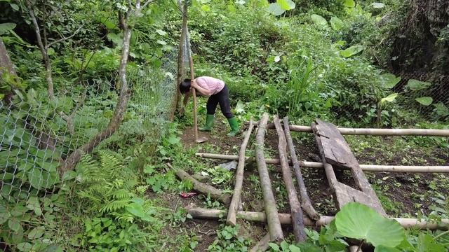 Forest Farm Life - Garden wild boar, overnight in the forest, Survival Instinct, Wilderness Alone смотреть онлайн