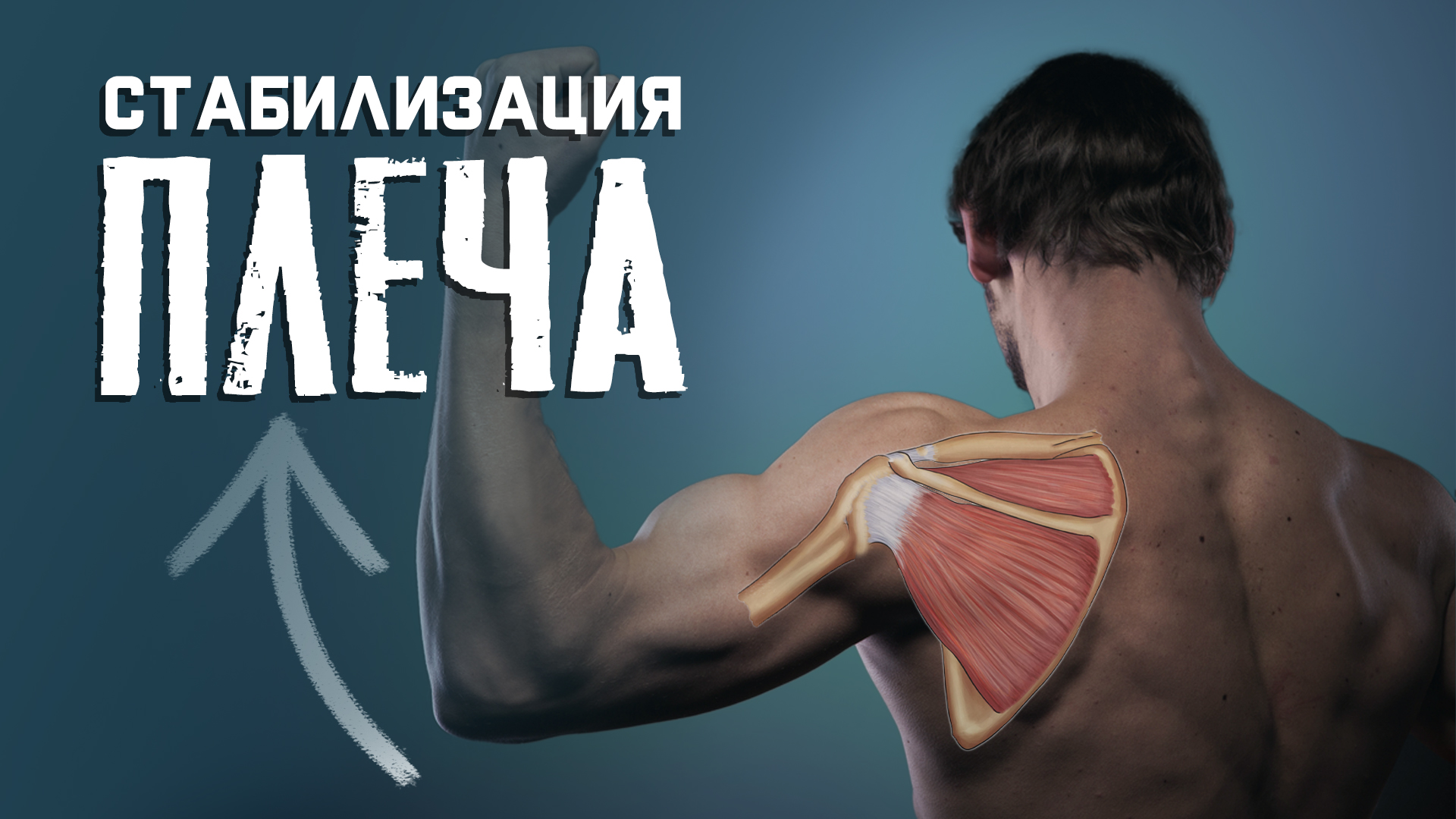Как укрепить плечевой сустав? Упражнения для стабилизации и укрепления плеча. смотреть онлайн