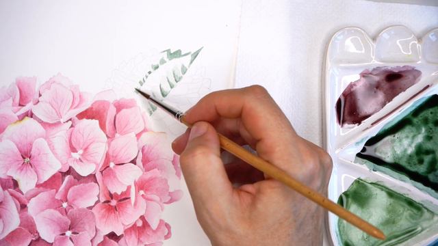 How To Paint Hydrangea with Watercolors 💗 Part 2 💗 Realistic Leaf Painting смотреть онлайн