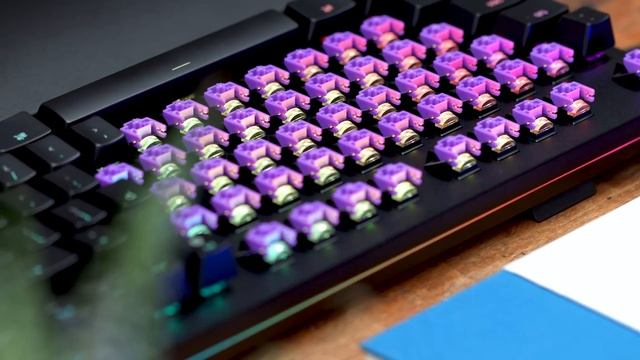 Which Razer Keyboard Switch is Right for You? смотреть онлайн