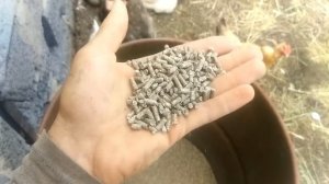 Комбикорм для откорма быка