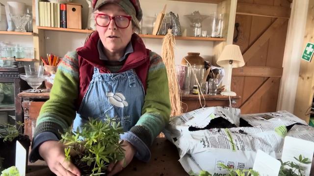 Top tips if you fancy a rave up at the garden centre this first weekend in March x смотреть онлайн