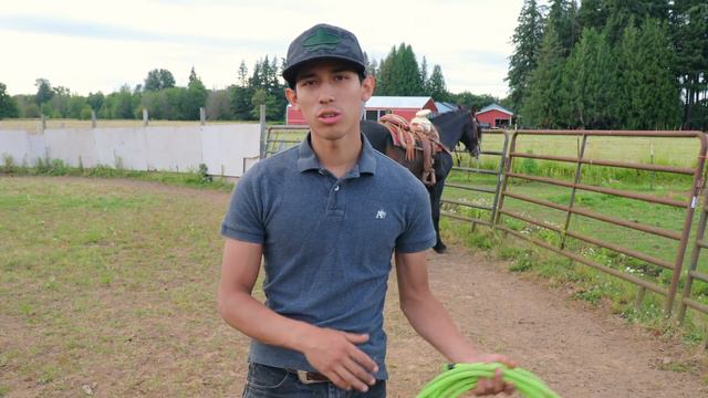 VERSACE REVENTO SU JAQUIMA!! ( EL POTRILLO FRIESIAN ) смотреть онлайн