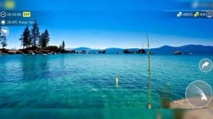 Ловим Амура белого 100% в my fishing world!