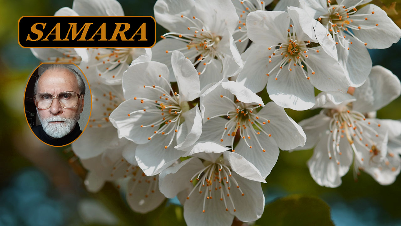 Самара. Ботанический сад. Апрель 2024. 2. Samara. The Botanical Garden. April. смотреть онлайн