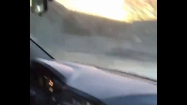 Курбану Шираеву подарили автомобиль за победу на чемпионате Европы в Риме смотреть онлайн