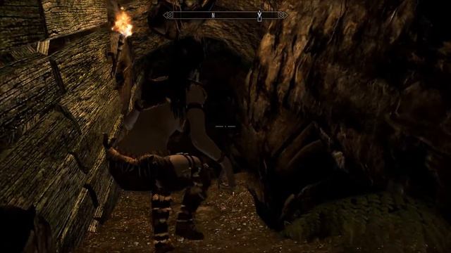 Vyxenne Goes To Falskaar Part 1 смотреть онлайн