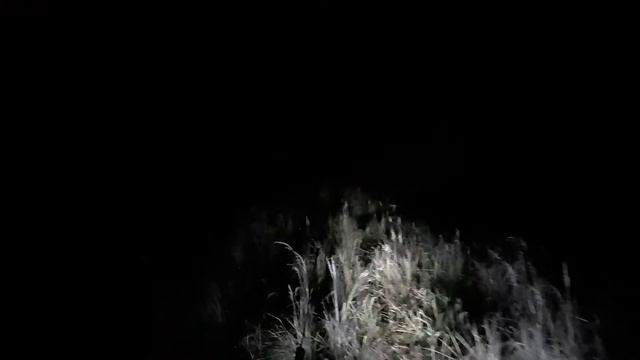 железнодорожная катастрофа в Жарковском. сход мотовоза мтк 2к 001 с рельсов. смотреть онлайн
