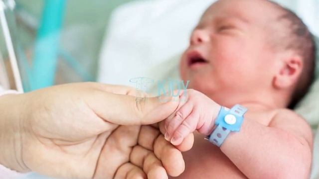 НА КОГО БУДЕТ ПОХОЖ БУДУЩИЙ РЕБЕНОК | Как наследуется характер и внешность от родителей смотреть онлайн