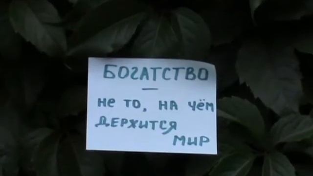 Свадебное поздравление смотреть онлайн