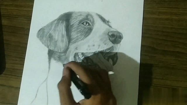 Dog sketch ❤? | timelapse ✅ смотреть онлайн