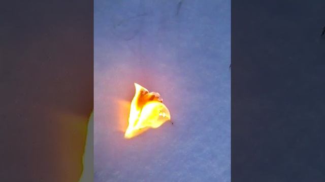 Что будет если поджечь 3 пачки спичек смотреть онлайн