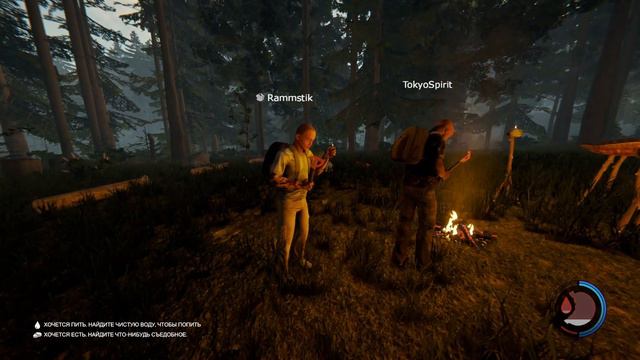 The Forest _ Кооператив _ #1 _ Прилетели :) смотреть онлайн