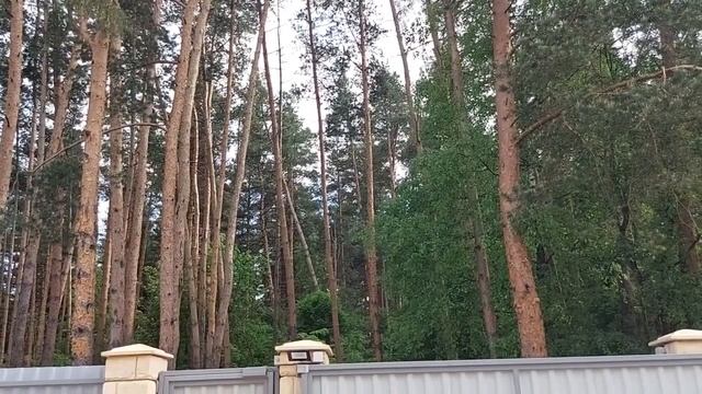 ПРИЗВАТЬ ДЕНЕЖНЫХ КЛИЕНТОВ НА МЁД... ОЧЕНЬ СИЛЬНО ДЛЯ ВСЕХ… ИНГА ХОСРОЕВА смотреть онлайн