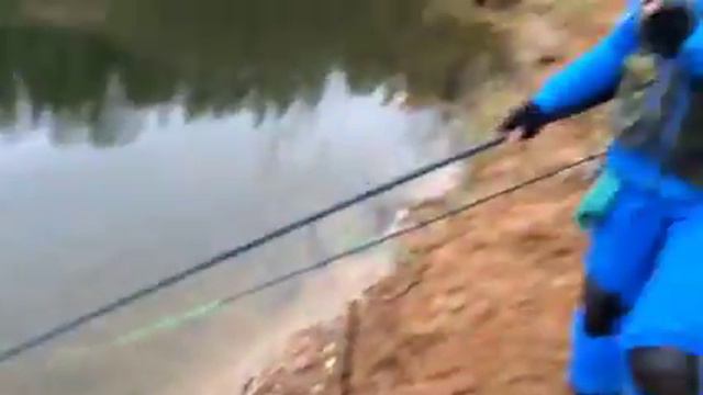 Рыболовный клуб Раскаты. Форель на фидер. смотреть онлайн