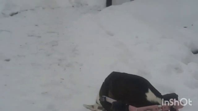 «Кайла покажет!» Интересные места