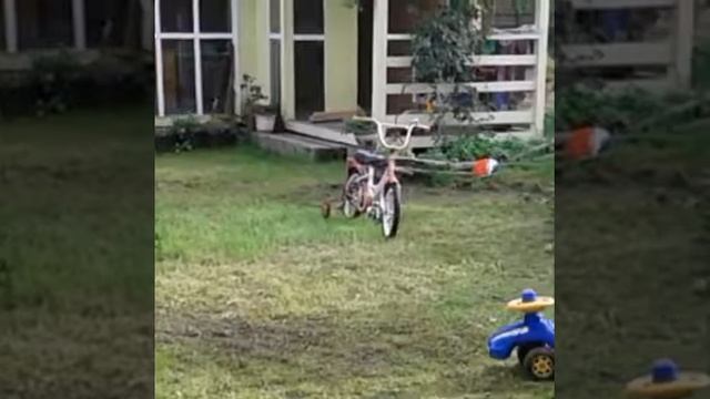 Грязные дети - счастливые дети смотреть онлайн