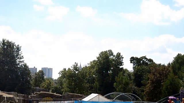 2013, Московский Дельфинарий смотреть онлайн