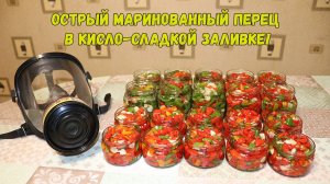 🌶Острый перец в кисло-сладком маринаде!!! Острый перец на зиму.
