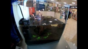 Запуск  нано аквариума