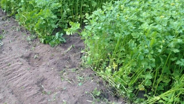 МоторСіч МД6 смотреть онлайн