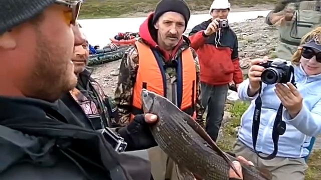 Малая Уса, Полярный Урал. Трофейный хариус. смотреть онлайн