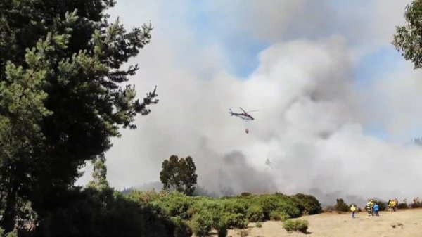 Helicopter| Helicopter Videos| Helicopter Crash Compilation