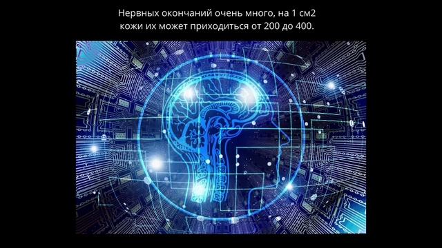 Органы чувств. Окружающий мир 3 класс смотреть онлайн