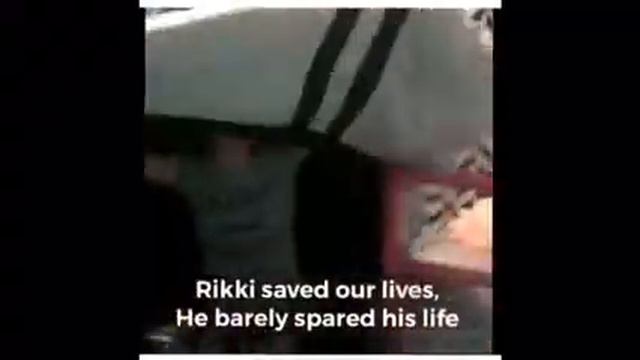 Rikki Tikki Tavi Song (Sing-Along) смотреть онлайн
