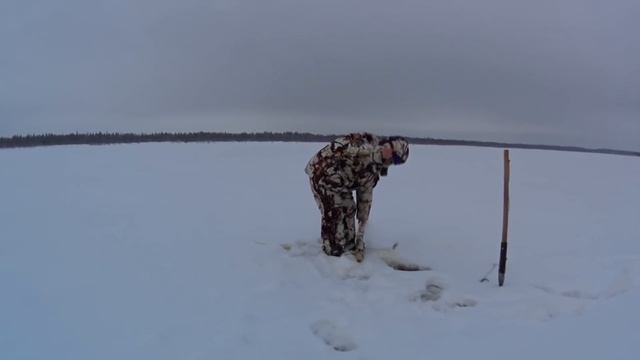 Рыбалка / Светлана ловит налима / Река Печора смотреть онлайн