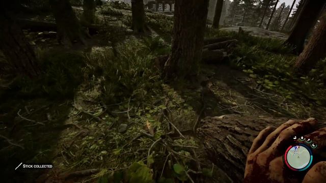 SONS of the FOREST #11: The Tree Strikes Back смотреть онлайн