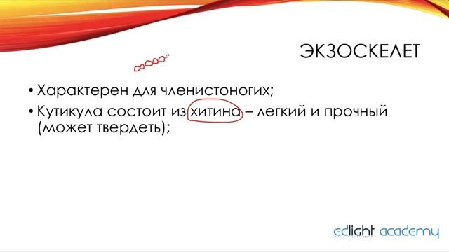 32. Опора и движение. Часть 1