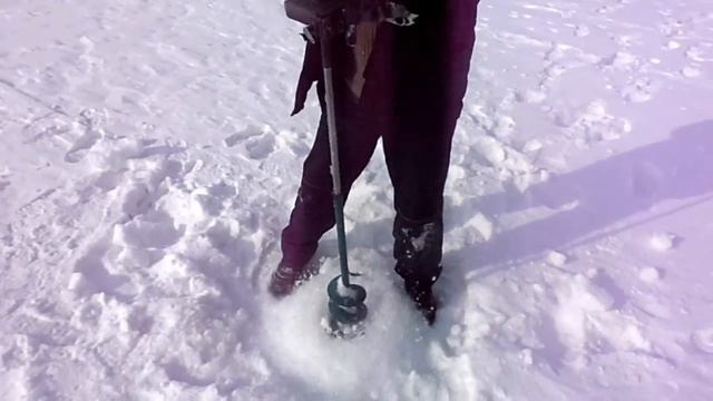 P3200001мотобур из пилы штил смотреть онлайн