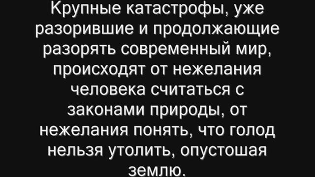 Видеоролик на тему экологии. смотреть онлайн