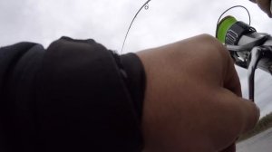 Лучшая РЫБАЛКА в Дельте Волги!! Маково, Зеленга