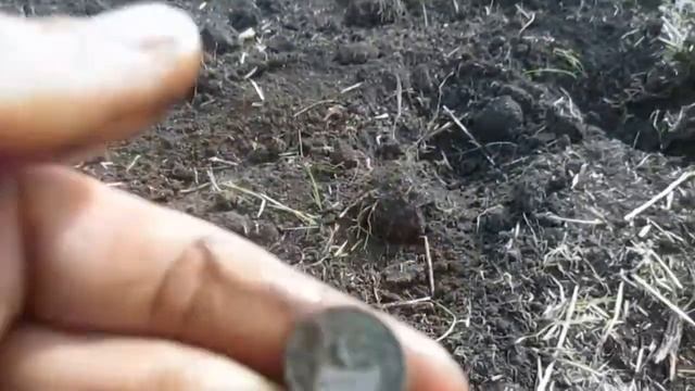 Серебро поперло!!! Коп с Квазаром!! смотреть онлайн