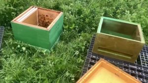 Какой улей лучше? ППУ или деревянный?